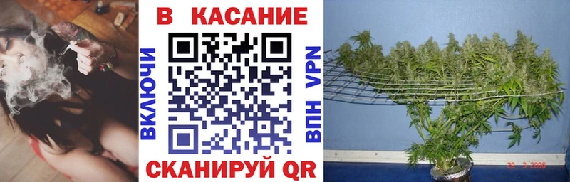ГАШИШ Пущино