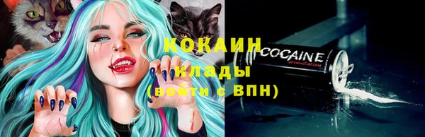 твердый Аркадак