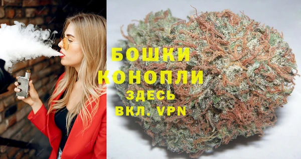твердый Аркадак