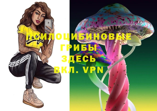 мескалин Арсеньев